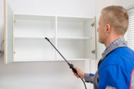 Pest control technician treating cabinets