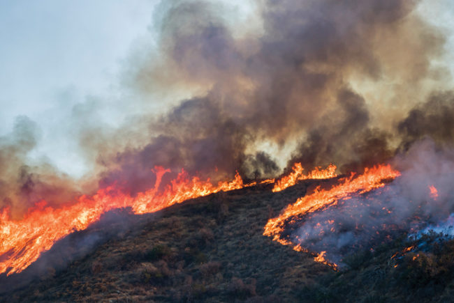 Hfm0119 upft 1 wildfires