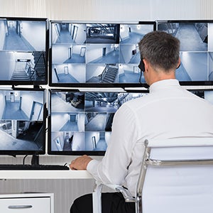 Article Images