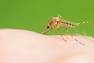 CDC, CMS and Joint Commission lead September&#039;s regulatory news