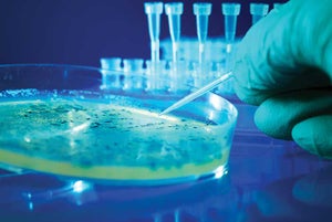 Microbiome may hold answers to curbing infections