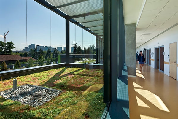 Seattle Children's Bellevue Clinic's green roof pays dividends