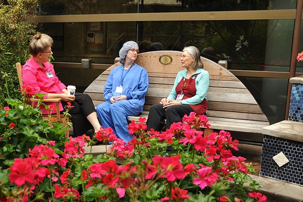 Health system studies therapy garden's effect on ICU nurses