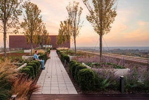 Study: Green roofs on hospitals help patients’ recovery