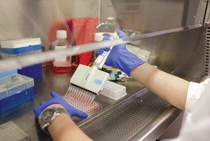 Yearlong study maps diversity and flow of microbes in new hospital