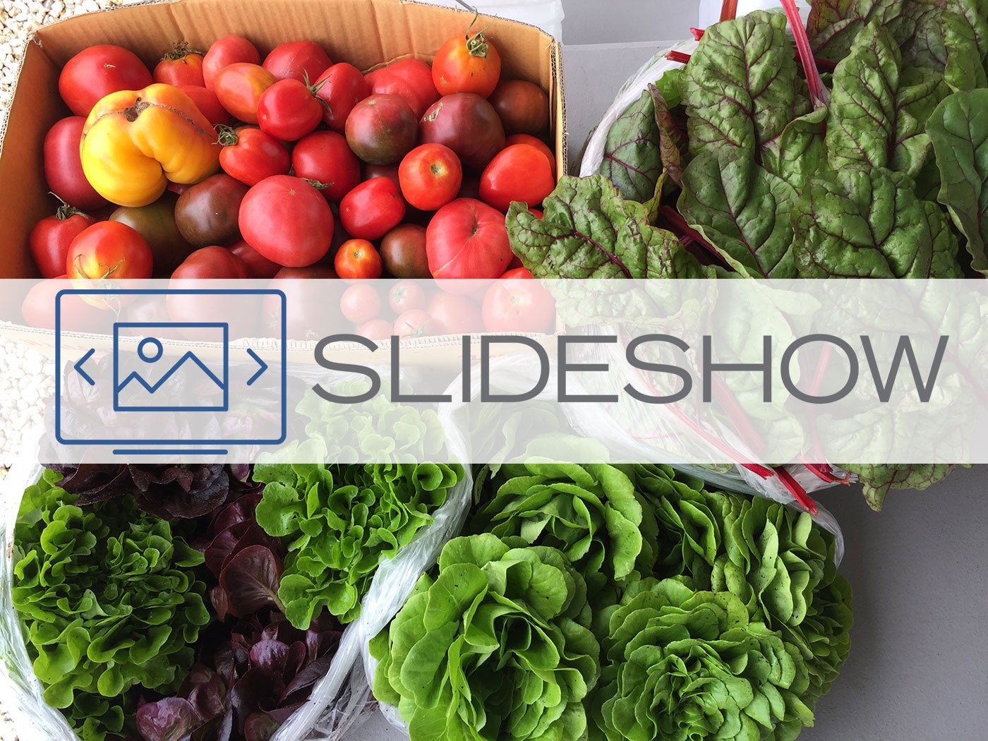 garden slideshow