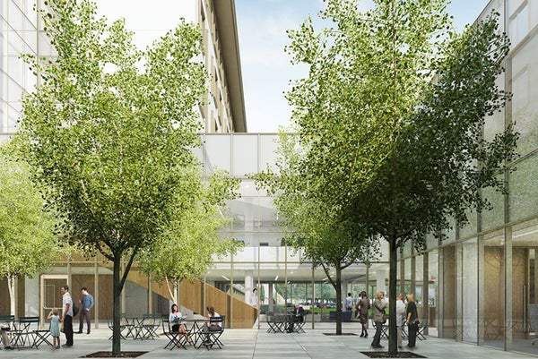 Promoting peace and healing