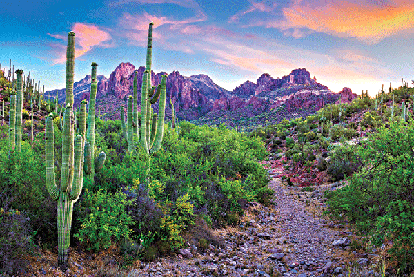 Here's what to expect at PDC Summit