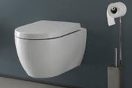 Performing a psychiatric inpatient bathroom evaluation
