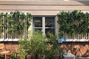 Rural hospital adopts proactive sustainability
