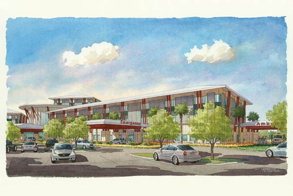 Exploring the world of architecture and bioethics