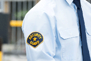 IAHSS releases guidelines on security data