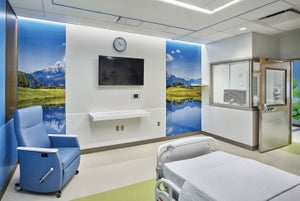 Disinfection and hand hygiene products