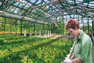 Greenhouse delivers fruit, vegetables and spirituality to patients