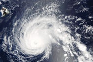 Building resiliency becomes a priority for organizations