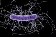 Study: UV disinfection cuts resistant organisms by 20 percent