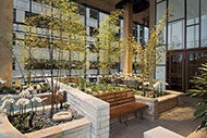 Bringing nature indoors