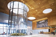 Rush Medical Center installs terrarium