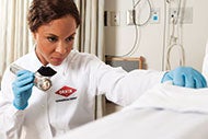 How to control pests in health care facilities