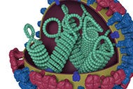 CDC urges providers to use phone triage for early flu treatment