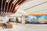 Ambulatory center emphasizes patient comfort through its design