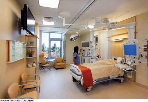 A nurse looks at a medical monitor screen in a sunny hospital room