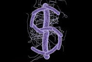 Study: C. difficile infections hike patient costs by 40 percent
