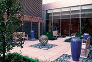 Serenity Garden