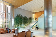 Sustainable materials prove to be prudent investment