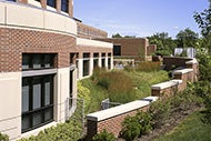 New thinking for hospital master plans