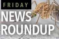 CDC, OSHA issue guidance to protect workers from Zika