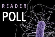 Moving to a coordinated infection prevention approach