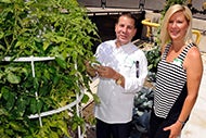 How a rooftop garden, local farming helped one hospital boost patient satisfaction