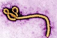 Johns Hopkins gives peek at new Ebola protective suit