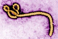 Public health departments awarded funds to improve infection control coordination