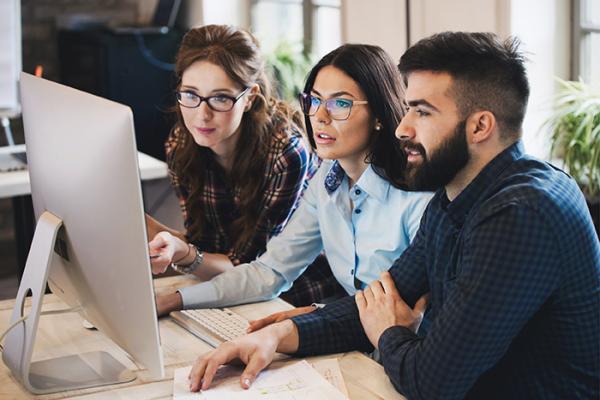 Professionals looking at computer