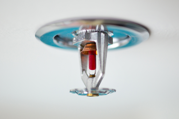 Sprinkler head upclose