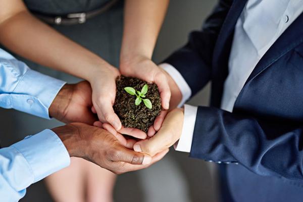 People holding plant
