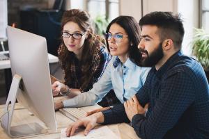 Professionals looking at computer