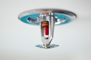 Sprinkler head upclose