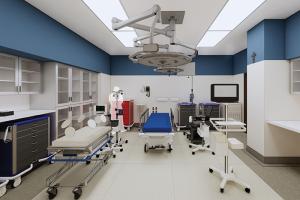 Renderings of Our Lady of the Lake Regional Medical Center emergency room