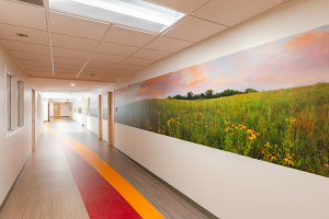 Allina Health United Hospital Outpatient and Inpatient Mental Health facility